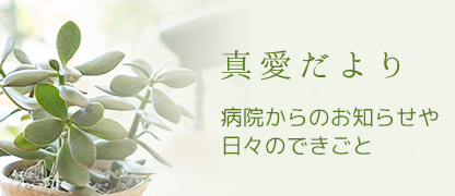 真愛だより